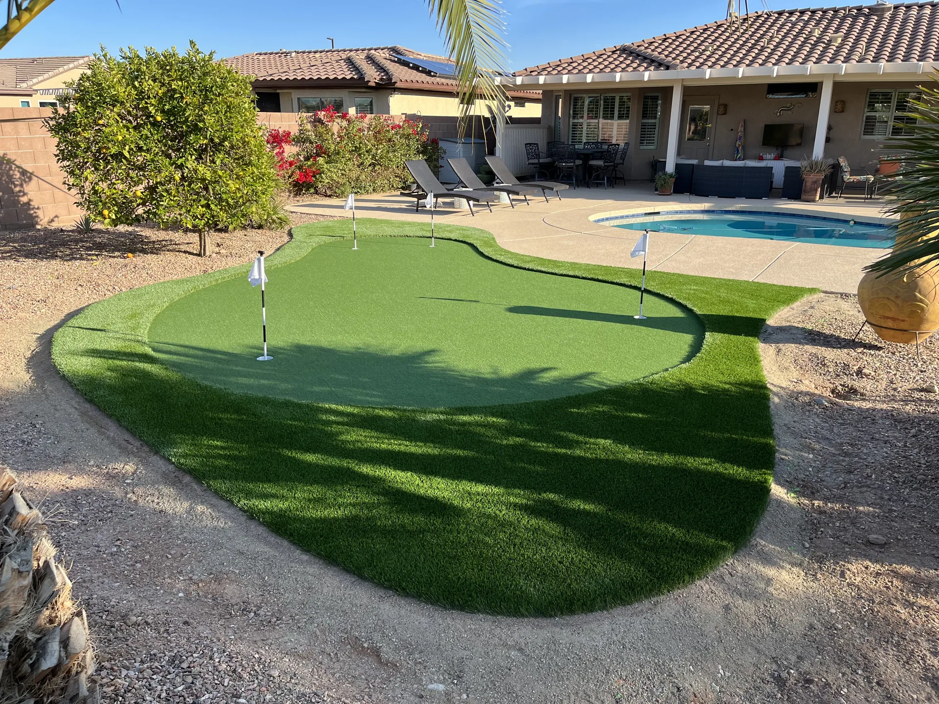 Putting green with pool backdrop
